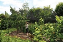 Dome Roof Steel Fruit Cage - Pineapple Finial