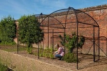 Dome Roof Steel Fruit Cage - Sphere Finial