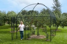 Dome Roof Steel Fruit Cage - Sphere Finial