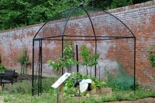 Dome Roof Steel Fruit Cage - Sphere Finial