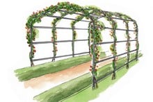 Harrod Ellipse Garden Pergolas