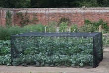 Harrod Slot & Lock® Black Vegetable Cage (1.2m H)