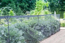 Harrod Slot & Lock® Black Vegetable Cage (1.5m H)