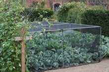 Harrod Slot & Lock® Vegetable Cage (1.2m H)