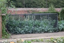 Harrod Slot & Lock® Vegetable Cage (1.2m H)