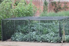 Harrod Slot & Lock® Vegetable Cage (1.5m H)