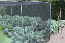 Harrod Slot & Lock® Vegetable Cage (1.5m H)