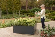 Harrod Standard Metal Raised Beds - Anthracite Grey