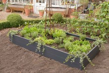 Harrod Standard Metal Raised Beds - Anthracite Grey