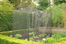 Harrod Stormproof (Black 1.2m H) Frame Saver Vegetable Cage