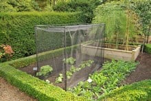 Harrod Stormproof (Black 1.5m H) Frame Saver Vegetable Cage