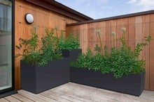 Harrod Superior Bespoke Planters