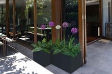 Harrod Superior Bespoke Planters