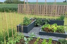 Harrod Superior Metal Raised Beds - Anthracite Grey