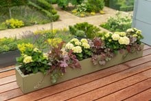 Harrod Trough Metal Planters - Heritage Green