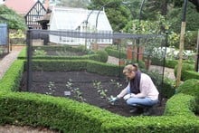 Harrod Vintage Fruit & Vegetable Cage 1.5m High - Matt Black