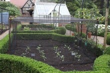 Harrod Vintage Fruit & Vegetable Cage 1.5m High - Natural Rust