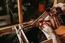 Haws Copper Indoor and Seedling Watering Can
