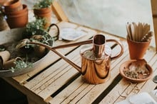 Haws Copper Indoor and Seedling Watering Can