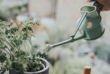 Haws Handy Indoor Watering Can (Green)