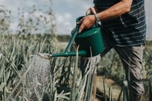 Haws Heavy Duty Plastic Watering Can