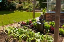 Haws Warley Fall Graphite Watering Can (9 Litre)