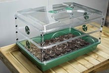 Large Propagator with Height Extender