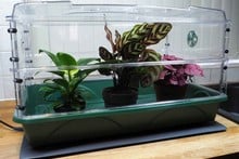 Large Propagator with Height Extender