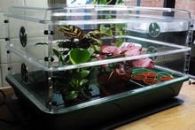 Large Propagator with Height Extender
