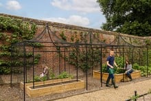 Peak Roof Steel Fruit Cage