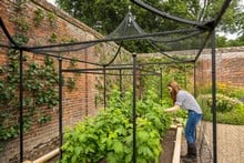 Peak Roof Steel Fruit Cage