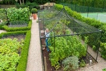 Peak Roof Steel Fruit Cage