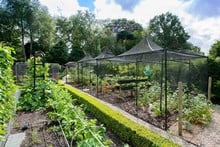 Peak Roof Steel Fruit Cage