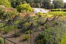 Peak Roof Steel Fruit Cage