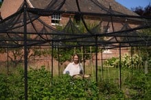 Peak Roof Steel Fruit Cage