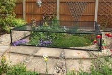 Raised Steel Pond Cover