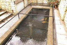 Raised Steel Pond Cover