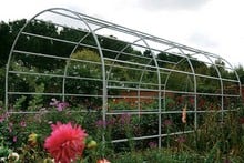 Roman Garden Pergolas in Lichen Green