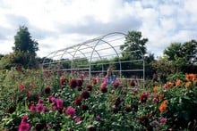 Roman Garden Pergolas in Silk Grey