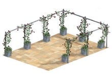 Rose Colonnade Rose Colonnade