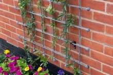 Southwold Decorative Wall Trellis Panels
