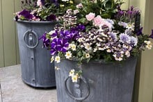 Southwold Round Planters