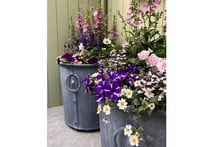 Southwold Round Planters
