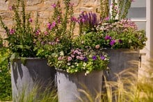 Southwold Round Planters