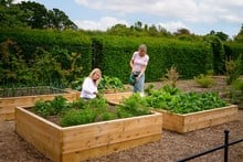 Standard Wooden Raised Beds