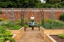 Standard Wooden Raised Beds