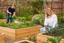 Standard Wooden Raised Beds