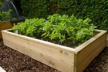 Standard Wooden Raised Beds