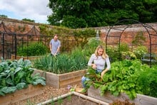 Standard Wooden Raised Beds