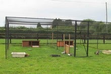 Steel Chicken Cages & Poultry Cages